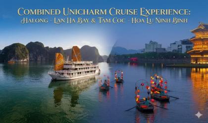 COMBINED UNICHARM CRUISE EXPERIENCE : HALONG – LAN HA BAY & TAM COC-HOA LU – NINH BINH 3D/2N